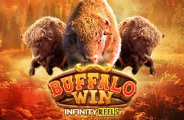 Buffalo Win