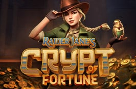 Raider Jane's Crypt of Fortune