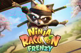 Ninja Racoon Frenzy