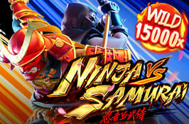 Ninja vs Samurai