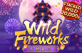 Wild Fireworks